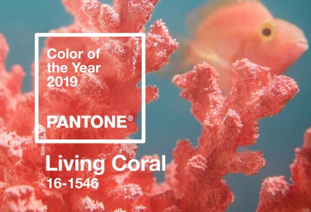 Pantone Color of the year 2019: Living Coral