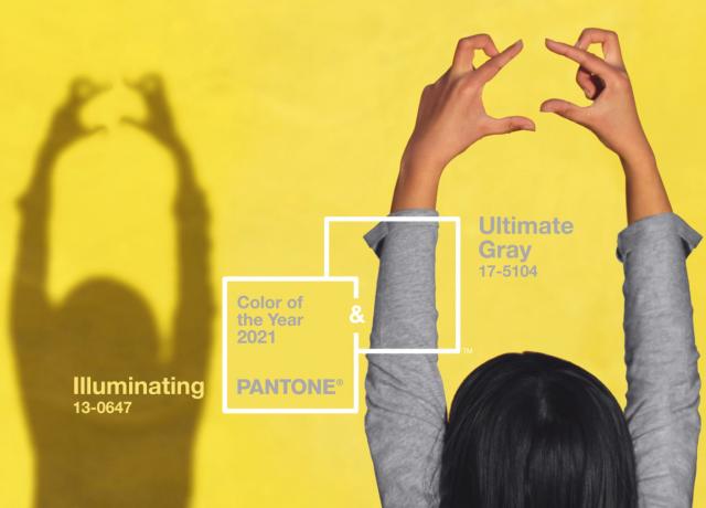 Pantone 2021 Gris y Amarillo / Ultimate Gray and Yelow Illuminating